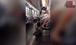 Download Bokep Couple fucking on subway train (HD) online