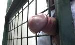 Download video Bokep HD Ohhhh that gate! terbaik