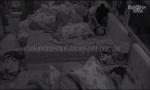 Video Bokep HD BBB18 Wagner dormindo de pau duro e cabeça  3gp