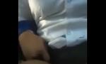 Video Bokep HD Student fucking in forest 3gp