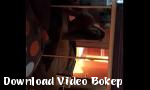 Download bokep indo julia - Download Video Bokep