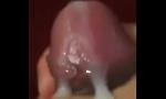 Nonton video bokep HD big cum hot