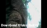 Video bokep heboh ngintip orang mandi hot di Download Video Bokep