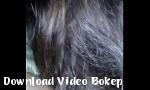 Video bokep online Ibu dan anak gratis di Download Video Bokep