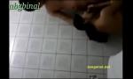 Download Video Bokep ngentot di kamar mandi mp4