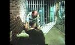 Video Bokep Terbaru Yvette M. Jail ma; Macon Conty terbaik