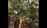 Video Bokep Online Desi Bhabhi Outdoor Shower Secretly Filmed By Neig gratis