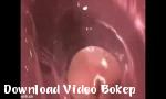 Vidio xxx 3D Hentai Fucking Scene Terbaru - Download Video Bokep