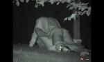 Bokep Hot Horny Couple Ended Caught Having Sex in Park gratis