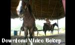 Video bokep Sialan tentang Kuda di Download Video Bokep
