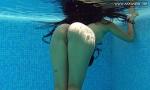 Download video Bokep Andreina De Luxe hot Latina in the pool terbaik