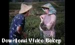 Video bokep CD 01 gratis di Download Video Bokep