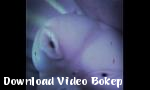 Download video bokep Monster sy lapar ingin ayam 3gp gratis