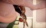 Download Bokep Terbaru nsect MMD]Lilia with Insects Part.4 mp4