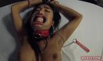 Bokep Online Ladyboy Sex Slave Mos Dominated mp4