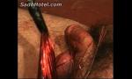 Video Bokep Terbaru Bleeding cock and balls of slave gets hurt by beau 3gp