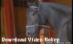 Film bokep Kuda hitam dengan penis hitam besar - Download Video Bokep