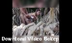 Nonton video bokep Di hutan bakau Mp4 terbaru