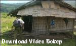 Video bokep Hmong porno 10 - Download Video Bokep