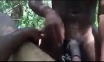 Video Bokep Tamil gay fuck in forest hot