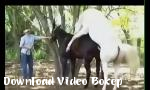 Video bokep kuda hewan hd seks 2018 hot
