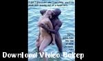 Download video bokep Siapa  DADDY Anda Kompilasi BBC 2018