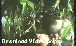 Video Bokep MALAM ZOMBIE - Download Video Bokep