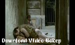 Video bokep Mad Foxes - Download Video Bokep