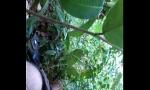 Download video Bokep Seks hutan India 3gp