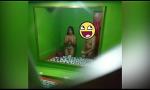 Download video Bokep Rica Putita Chongo Ecuador 005 3gp