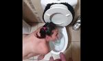 Xxx Bokep Pisswhorepilationma; human toilet terbaru