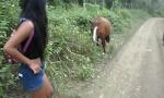 Bokep Video Remaja Thailand Peru ke ayam kuda Ekuador untuk cr