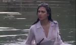Bokep Seks Adegan puting film Tarjan hot