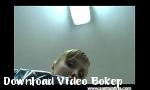 Download video bokep Niccol hardcore hot di Download Video Bokep