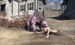 Bokep Fallout 4 Creatures hot