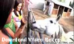 Video SEKs winona smith  Horse From Pornland 1 Gratis 2018 - Download Video Bokep