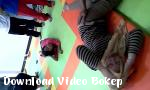 Video bokep jilbab dipijat gratis di Download Video Bokep