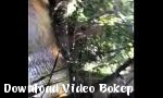 Download video bokep Main di Hutan Mp4