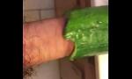 Vidio Bokep HD Big Dick Fucking a Hollow Cucumber.MOV terbaik