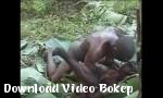 Vidio xxx Nyata Amatir Afrika Fuck on Tree 6969cams Gratis - Download Video Bokep