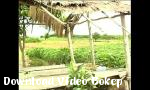 Video bokep thai yed clip629 terbaik Indonesia