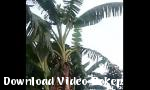 Download video bokep Jatuhkan di kebun hot - Download Video Bokep