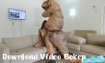 Download vidio bokep Kecantikan Bigass gadis mendapatkan fucked oleh di - Download Video Bokep