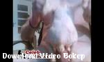 Nonton video bokep Watching Porn And Fucking A Chicken porno pecundan gratis - Download Video Bokep