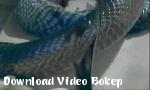 Video bokep thai yed clip728 di Download Video Bokep