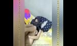 Vidio Bokep HD Bokep Indonesia Ukhty Hijab Ngentot - http:& hot