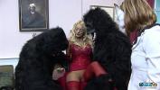 Video Bokep Terbaru Nothing makes these blonde chicks happier than pleasing Two guys in gorilla suits get to bang two blonde MILFs 3gp