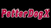 Nonton bokep HD Petter Dog Corinthiano faz sexo period 3gp online