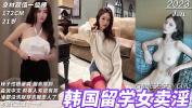 Nonton video bokep HD 国产探花：中文说的很棒的韩国留学小姐姐下海卖淫，性格开朗和客人又说又笑的 hot