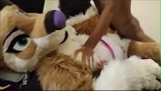 Bokep Terbaru Furry babe gets dicked in missionary terbaik